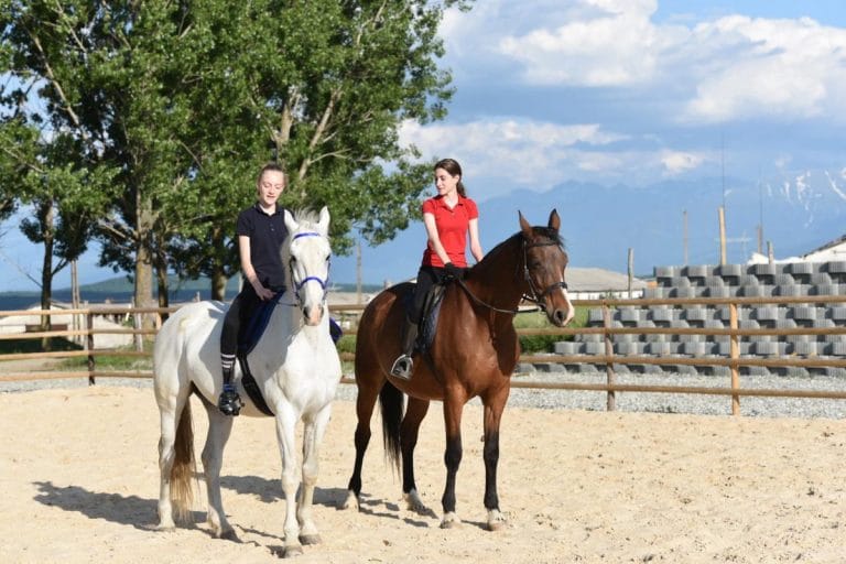 Echitație în Delta Dunării: O Aventură între Apă și Păduri Echitație în Delta Dunării