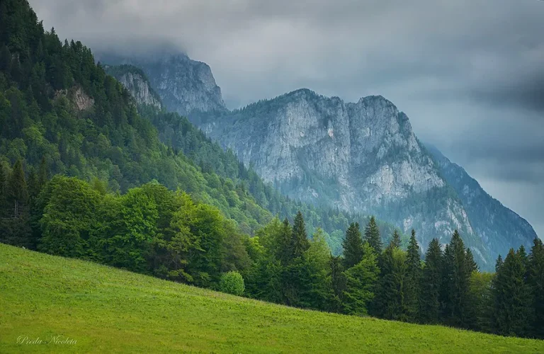 Vacanță la munte în România? Descoperă cele mai spectaculoase trasee din Carpați Vacanță la munte în România